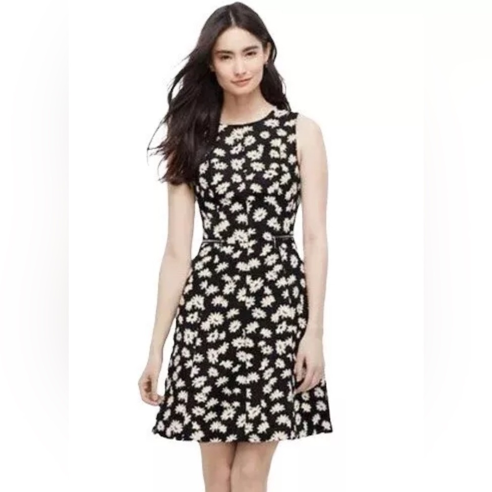 Ann Taylor Woman’s dress size 4